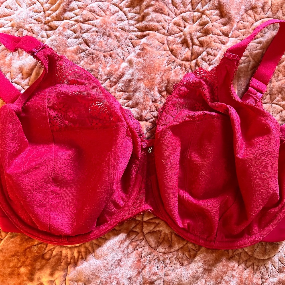 Elomi Tia Bandless Bra with Gold Embellishment